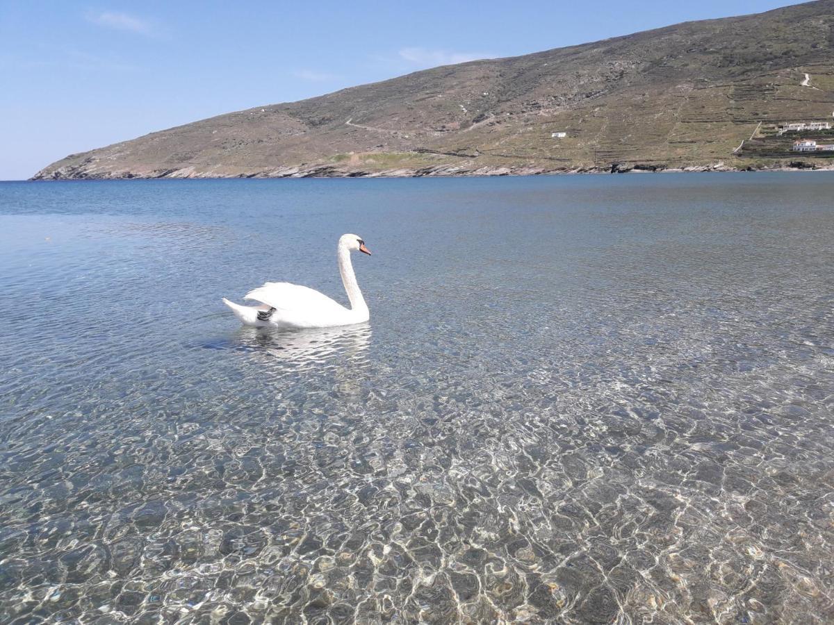 Liopi Village Andros Ormos  Exterior foto